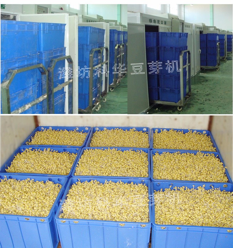 濰坊科華豆芽機(jī)有限公司