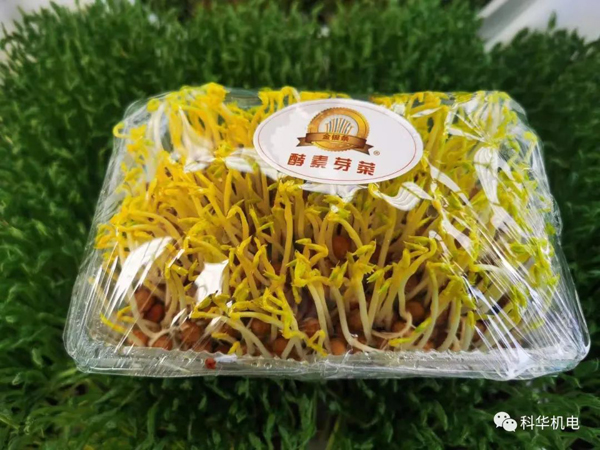 濰坊科華豆芽機(jī)有限公司
