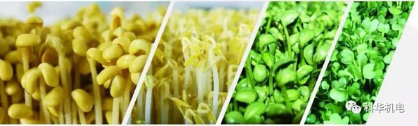濰坊科華豆芽機(jī)有限公司